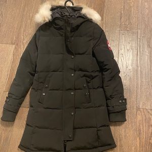 Canada goose